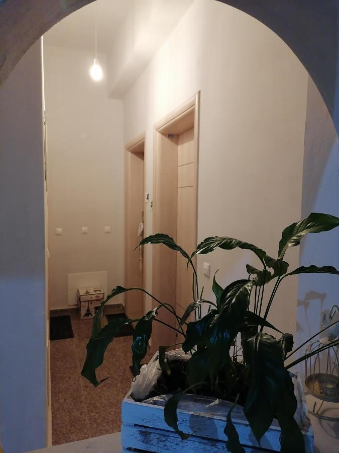 Eliora Studio & Aelia Apartment Iráklio Kültér fotó
